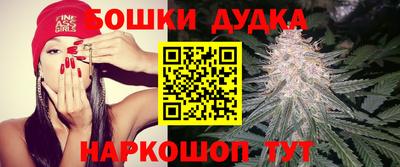 ALPHA PVP Кандалакша