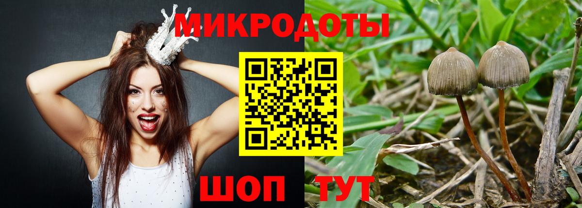 Галлюциногенные грибы Psilocybe  купить закладку  Лянтор  Вход с VPN 